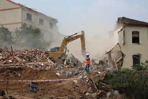 鄂州城市綠化工程的生態(tài)實踐與民生影響